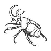 Gymnetis Beetle Design 1 vector