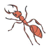 Beautiful Harpegnathos Venator Design vector