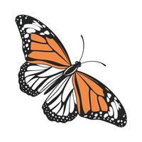 Heliconius Charithonia Butterfly Design 1 vector