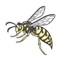 Creative Hornet Graphic 1 vector