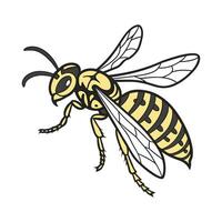 Colorful Hornet Design on White vector