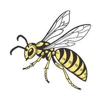 Creative Hornet Graphic 2 vector