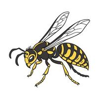 Hornet Art on a White Background vector