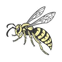 Hornet Design on a White Background vector