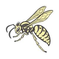 Stylish Hornet Graphic 5 vector