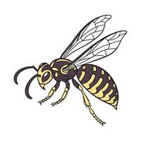 Creative Hornet Graphic 6 vector