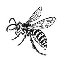 Beautiful Hornet Illustration White Background vector