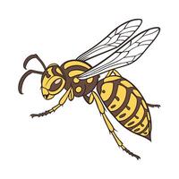 Hornet Design 10 on White Background vector