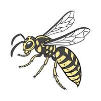 Beautiful Hornet Design on White vector