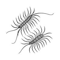Stylish House Centipedes Illustration 3 vector