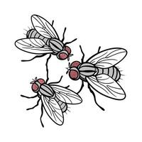 Display of House Flies on White Background vector