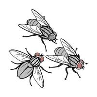 House Flies on Clean White Background vector