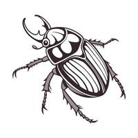 June Beetle Captured on Bright White Background vector