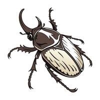 Dramatic View of June Beetle on White vector