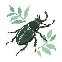 Display of June Beetle on Clean White Background vector
