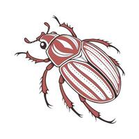 June Bug Illustration White Background vector