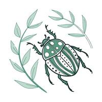 Display of June Bug on Bright White Background vector