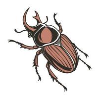 June Bug on White Background Display vector