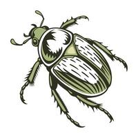 June Bug Displayed Against White Background vector