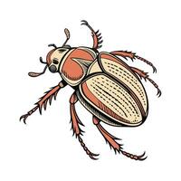 June Bug Featured on Bright White Background vector