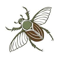 June Bug Exhibit on White Background vector