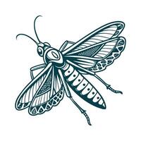 Realistic Katydid Illustration White vector