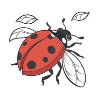 Ladybug Display on Clean White Background vector