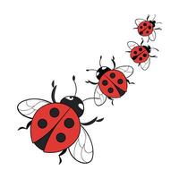 Collection of Ladybugs on Clean White Background vector