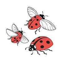 Dramatic View of Ladybugs on White Background vector