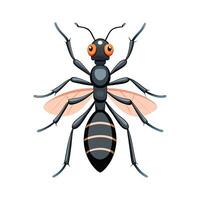 Dramatic View of Lasius Niger on White vector