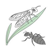 Leafhopper Ant Captured on Clean White Background vector
