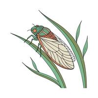 Showcase of Leafhopper on White Surface vector