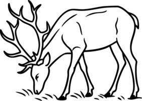 Detailed Illustration of a Grazing Deer with Antlers Perfect for Nature-Themed Projects vector
