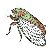 Dramatic View of Leafhopper on White Background vector