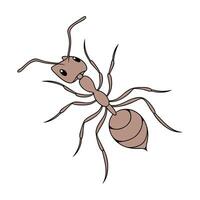 Dramatic Capture of Linepithema Humile on White vector