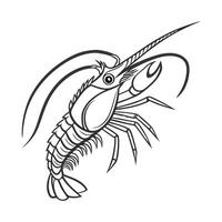 Lonchodes Brevipes Displayed on Clean White Surface vector
