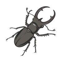 Lucanus Cervus Featured on Bright White Background vector