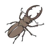 Lucanus Cervus Displayed on White Background vector