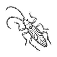Medauroidea Extradentata on Clean White Surface vector