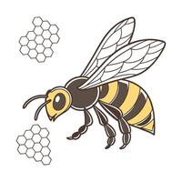Display of Megachile Pluto on Clean White Background vector