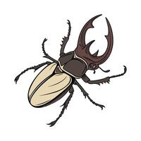 Megasoma Elephas on Bright White Background vector