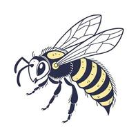 Megachile Rotundata Displayed on Clean White Surface vector
