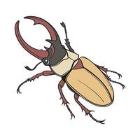 Megasoma Elephas Featured on Bright White Background vector