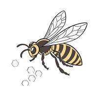 Melipona Displayed on Clean White Background vector