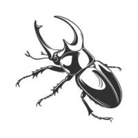Display of Megasoma Elephas on Clean White Surface vector