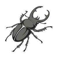 Midge Ant on Bright White Background vector