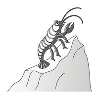 Display of Midge Ant on Clean White Surface vector