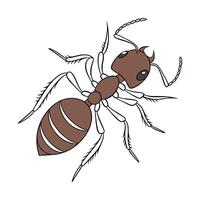 Dramatic Capture of Midge Ant on White vector