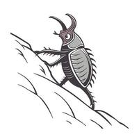 Midge Ant Featured on White Background vector
