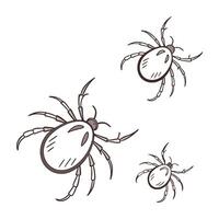 Mites Displayed on Bright White Background vector